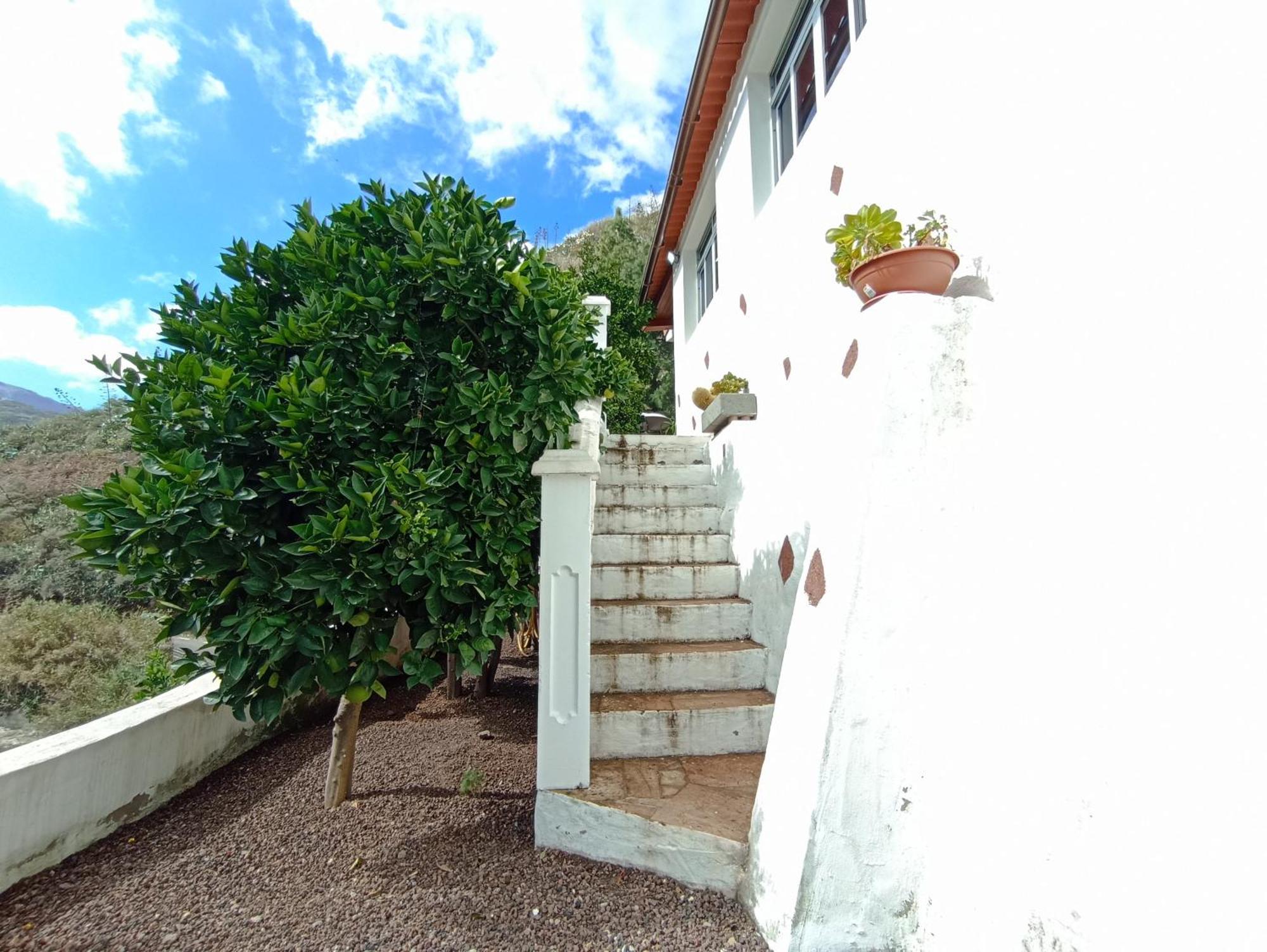 Casa Rural La Yedra San Mateo Arbejales Exterior foto